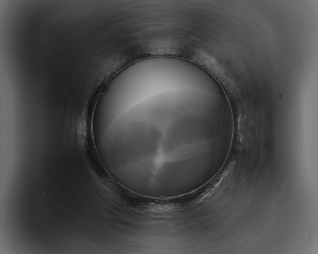 X0000095120202200712141143