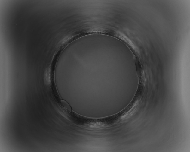 X0000095120203200712141143