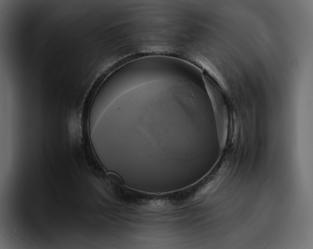 X0000095120204200712141143