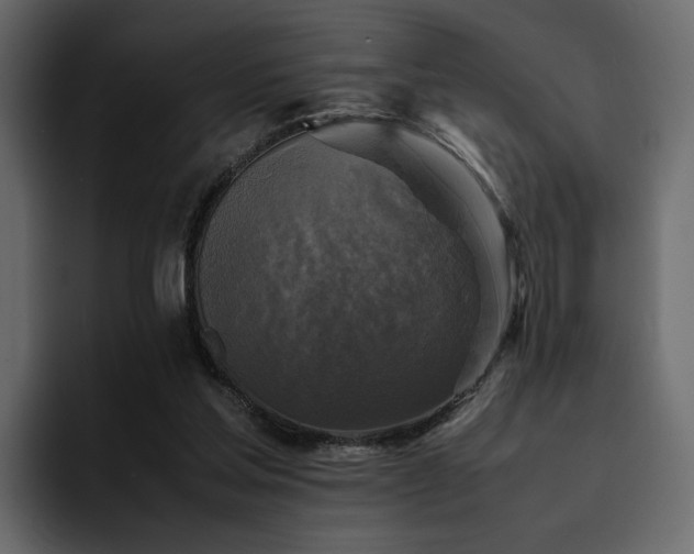 X0000095120205200712141143