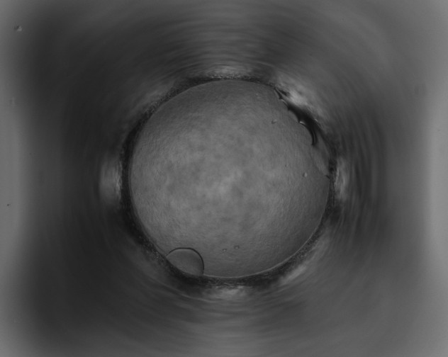 X0000095120206200712141143