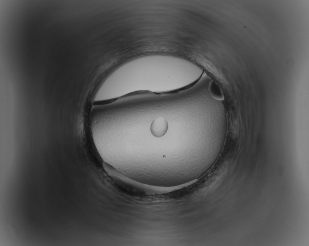 X0000095120207200712141143