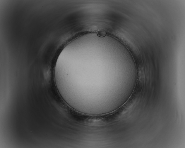 X0000095120208200712141143