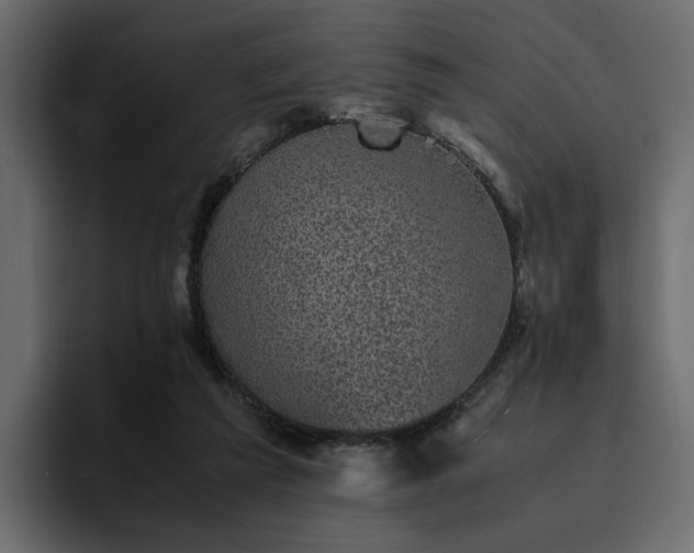 X0000095120209200712141143