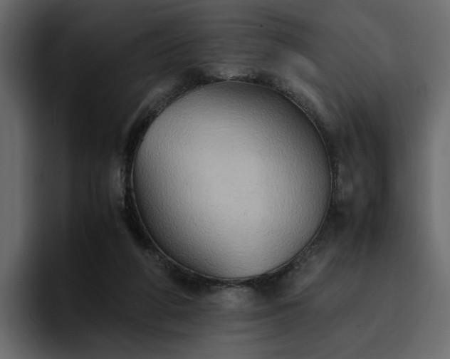 X0000095120210200712141143