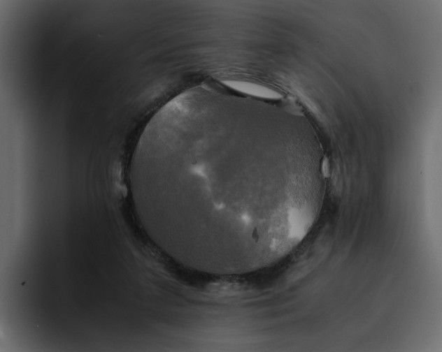 X0000095120211200712141143