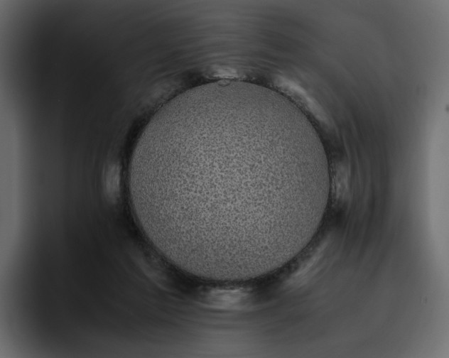 X0000095120213200712141143