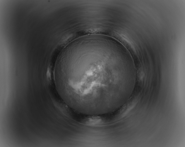 X0000095120214200712141143