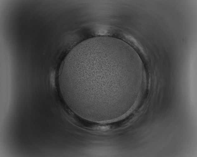 X0000095120217200712141143