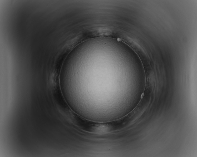 X0000095120218200712141143