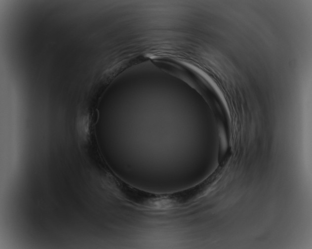 X0000095120219200712141143