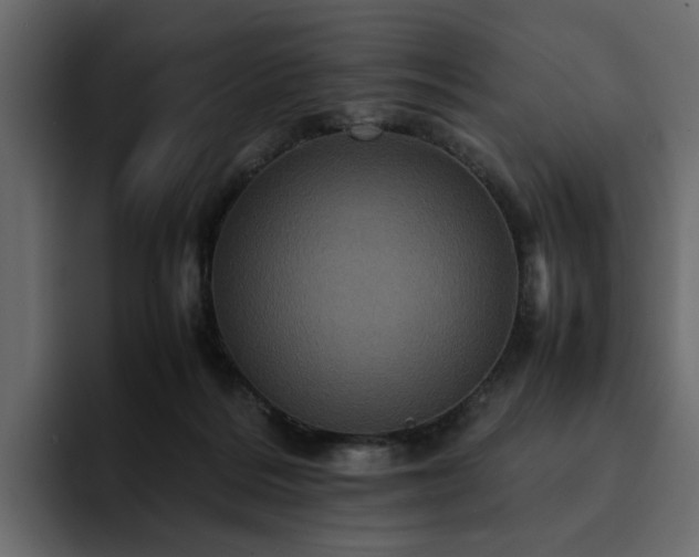 X0000095120220200712141143