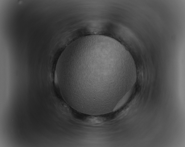 X0000095120221200712141143