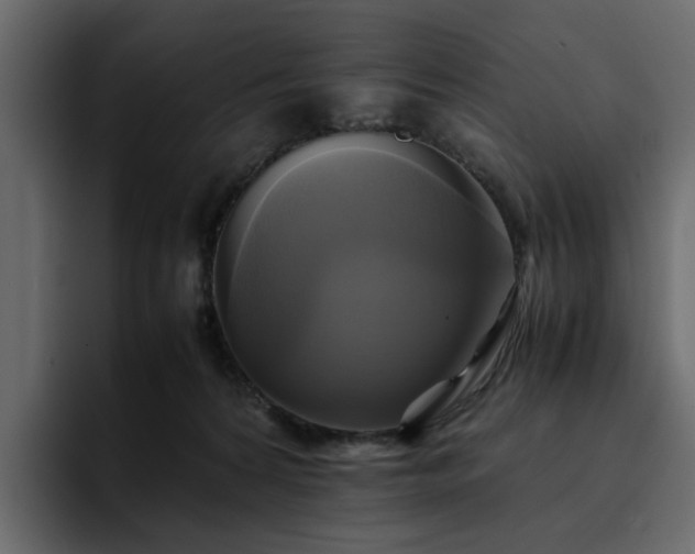 X0000095120224200712141143