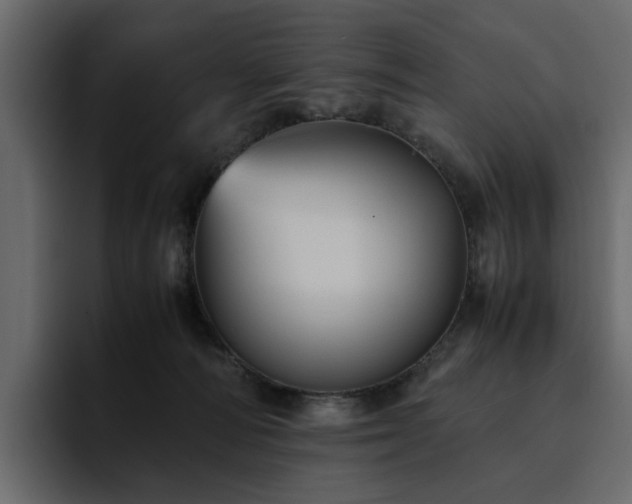 X0000095120226200712141142