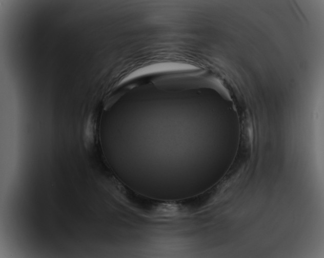 X0000095120227200712141142