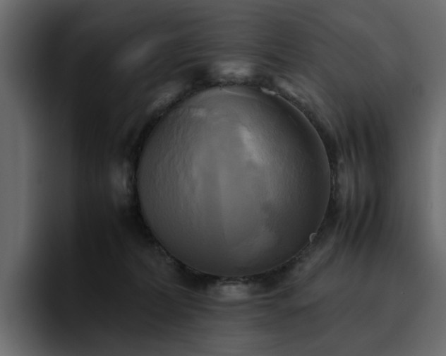 X0000095120228200712141142