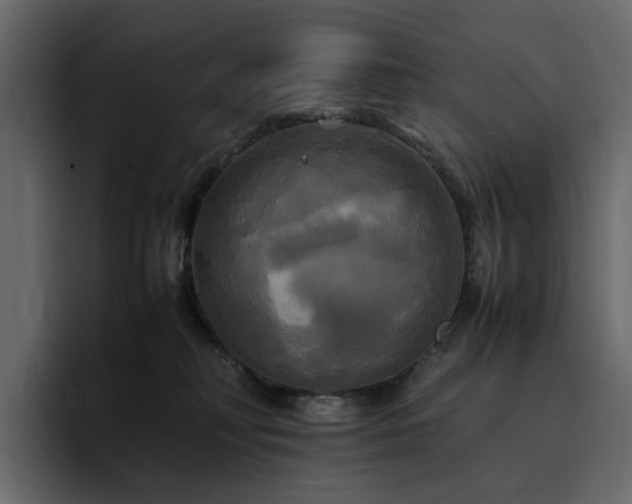 X0000095120230200712141142