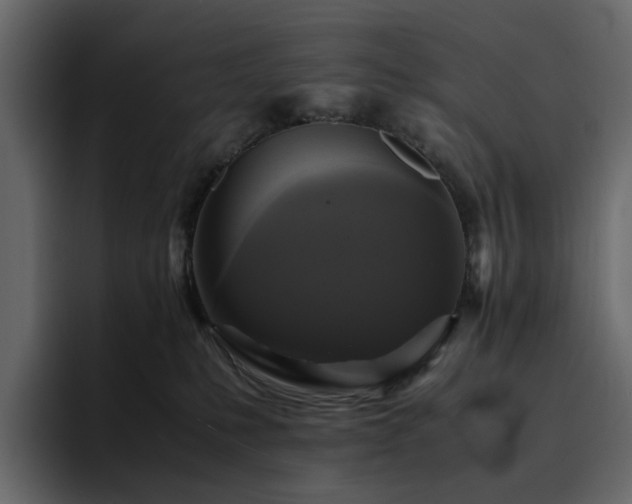 X0000095120231200712141142