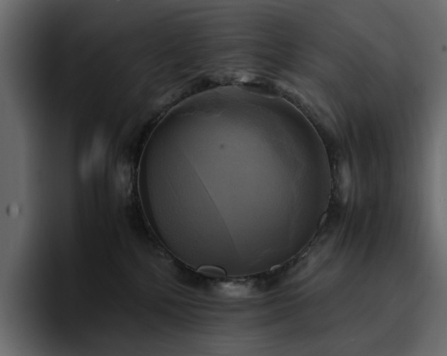 X0000095120232200712141142