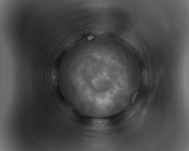 X0000095120234200712141142