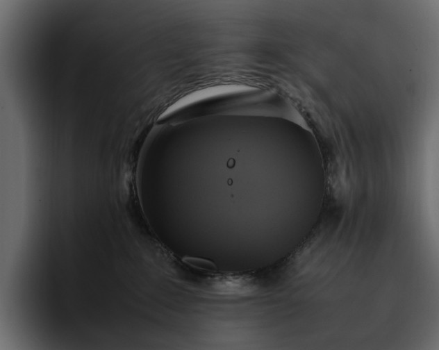 X0000095120235200712141142