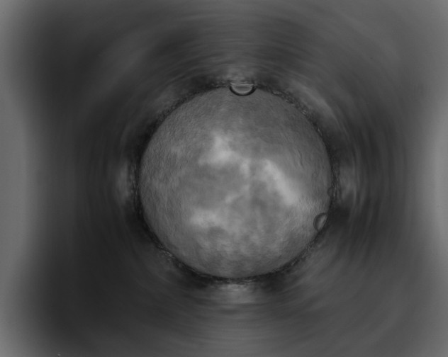 X0000095120236200712141142