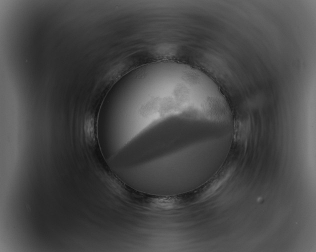 X0000095120238200712141142