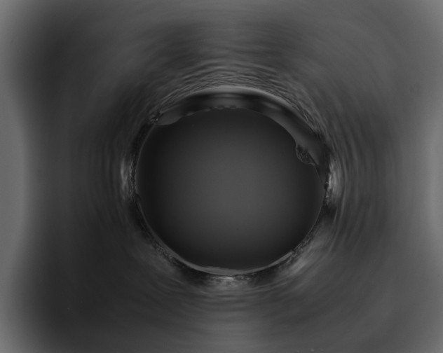 X0000095120239200712141142