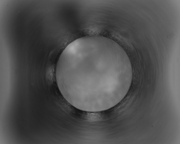 X0000095120240200712141142