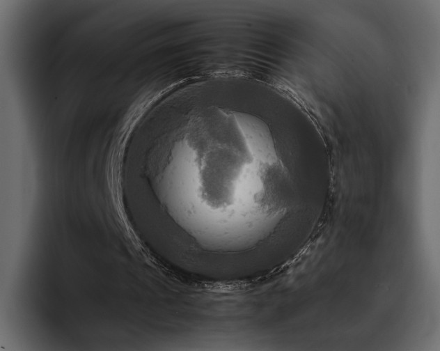 X0000095120241200712141142