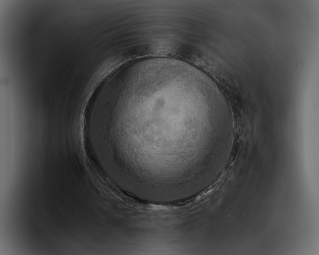 X0000095120242200712141142