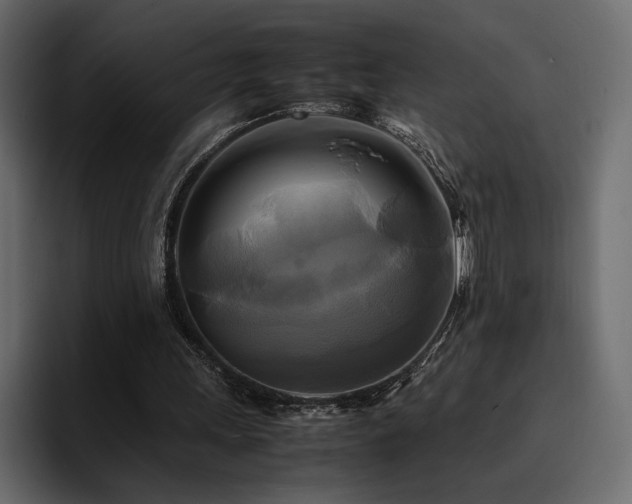 X0000095120243200712141142