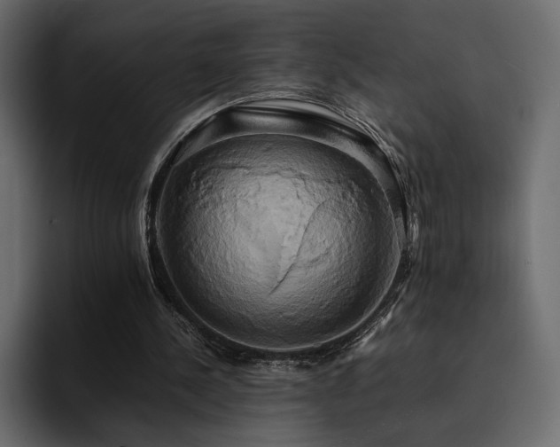 X0000095120244200712141142