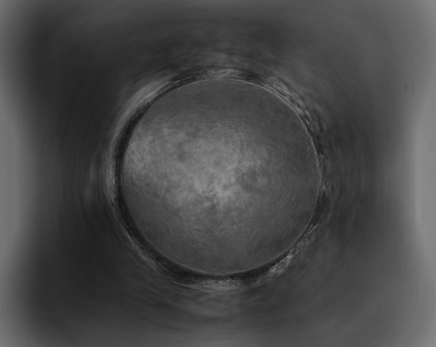 X0000095120245200712141142