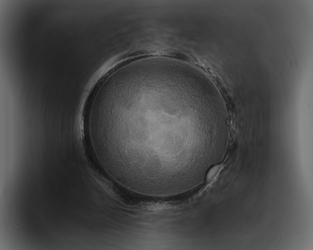 X0000095120246200712141142