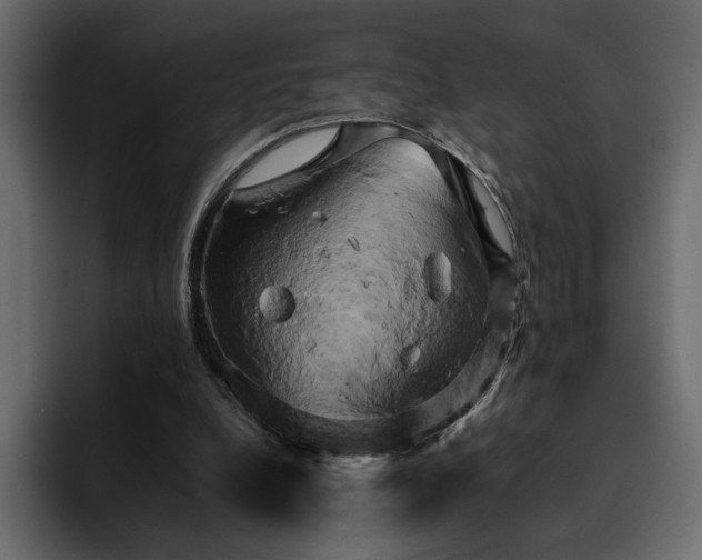 X0000095120248200712141142