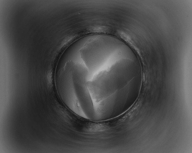 X0000095120249200712141142