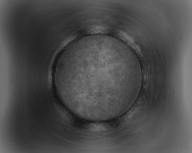 X0000095120250200712141142