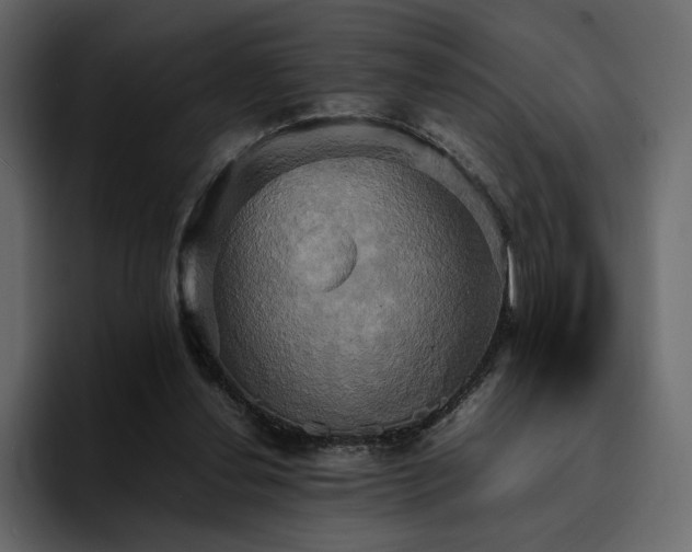 X0000095120252200712141142