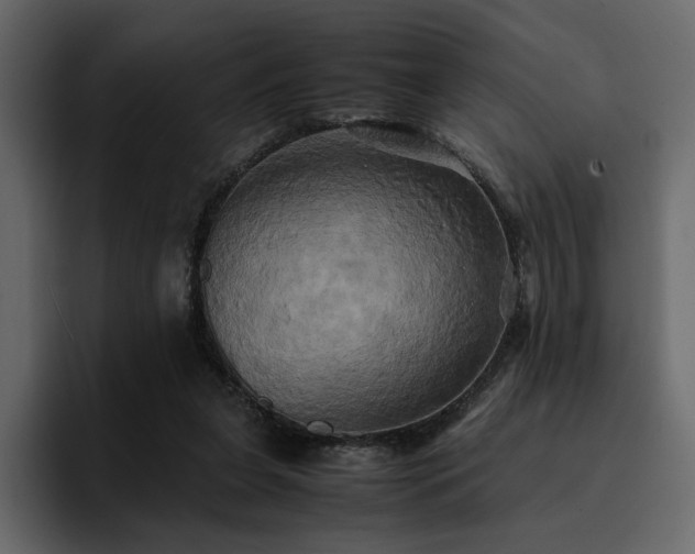 X0000095120255200712141142