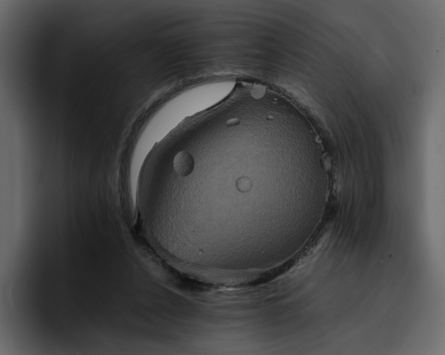 X0000095120256200712141142