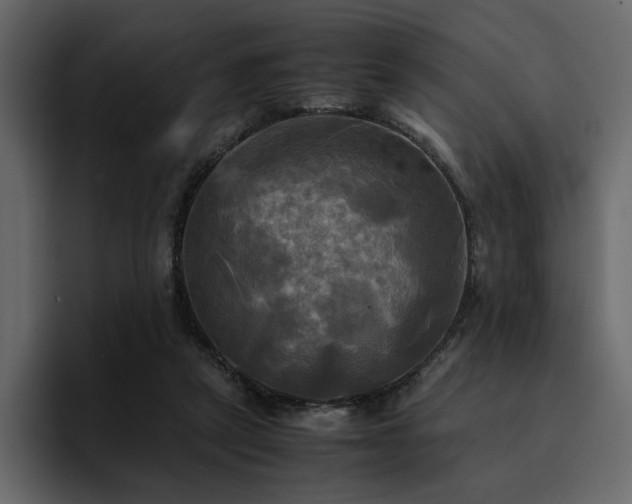 X0000095120257200712141142