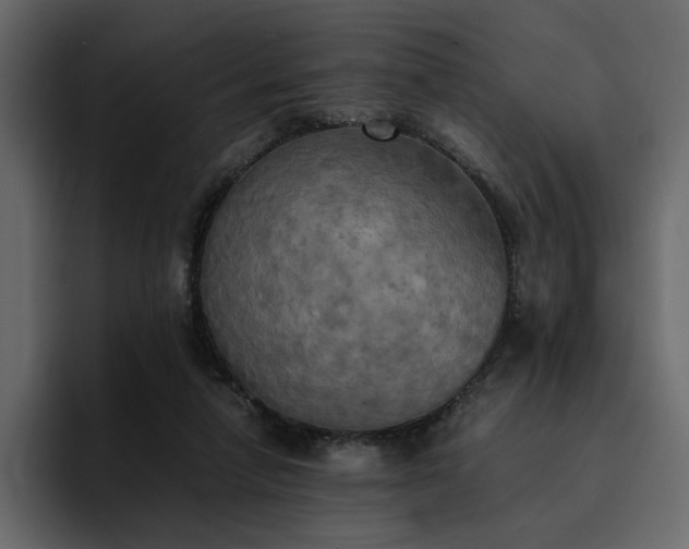 X0000095120258200712141142