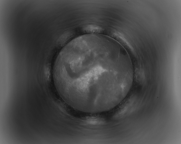 X0000095120259200712141142