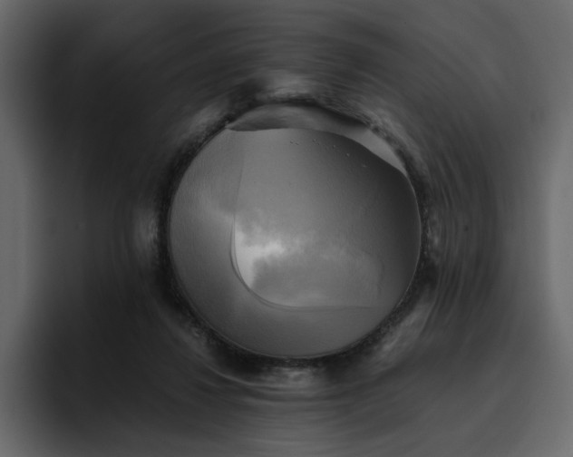 X0000095120260200712141142