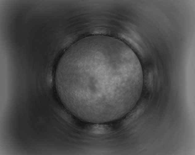 X0000095120261200712141142