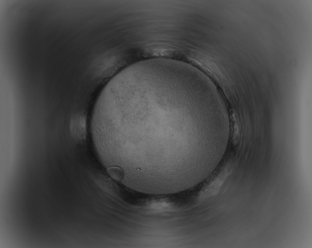 X0000095120262200712141142