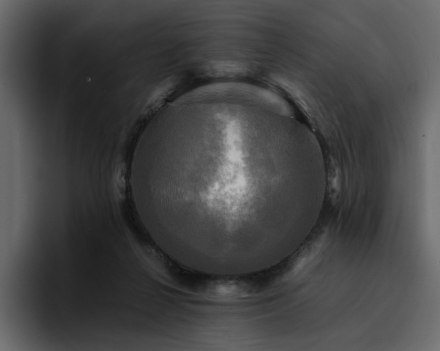 X0000095120264200712141142