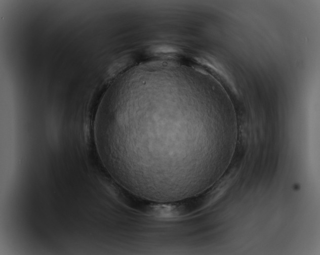 X0000095120265200712141142